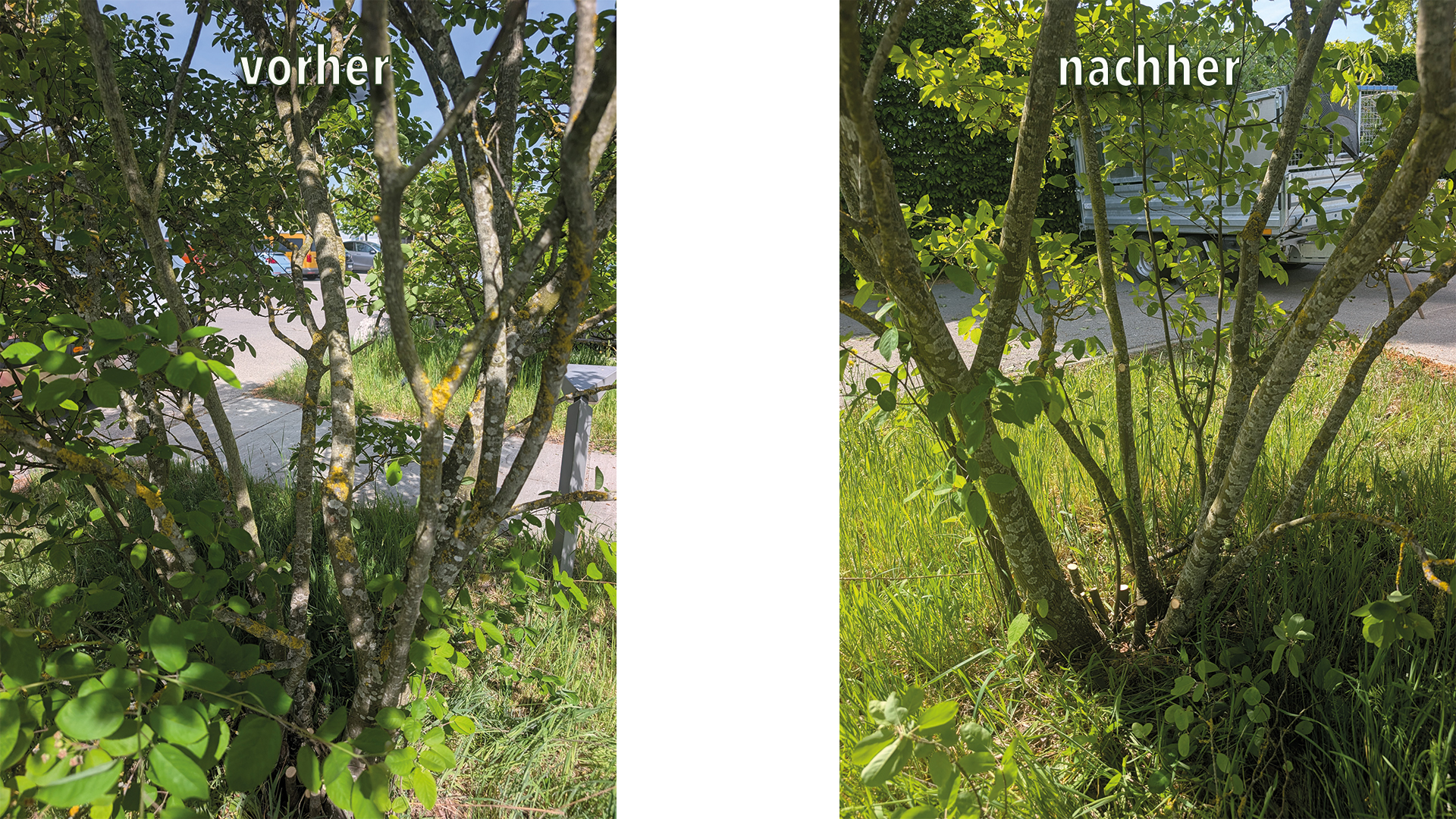 Vergleich vor und nachher