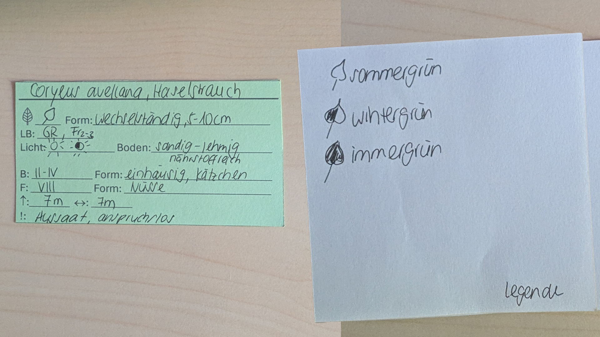 Wie notiere ich die Informationen auf der Lernkarte