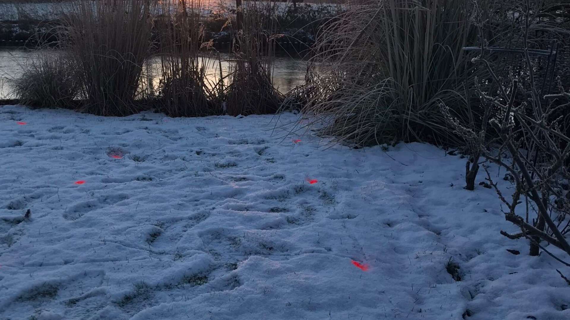 Geoinduktion Markierungen 1x pro Quadratmerter