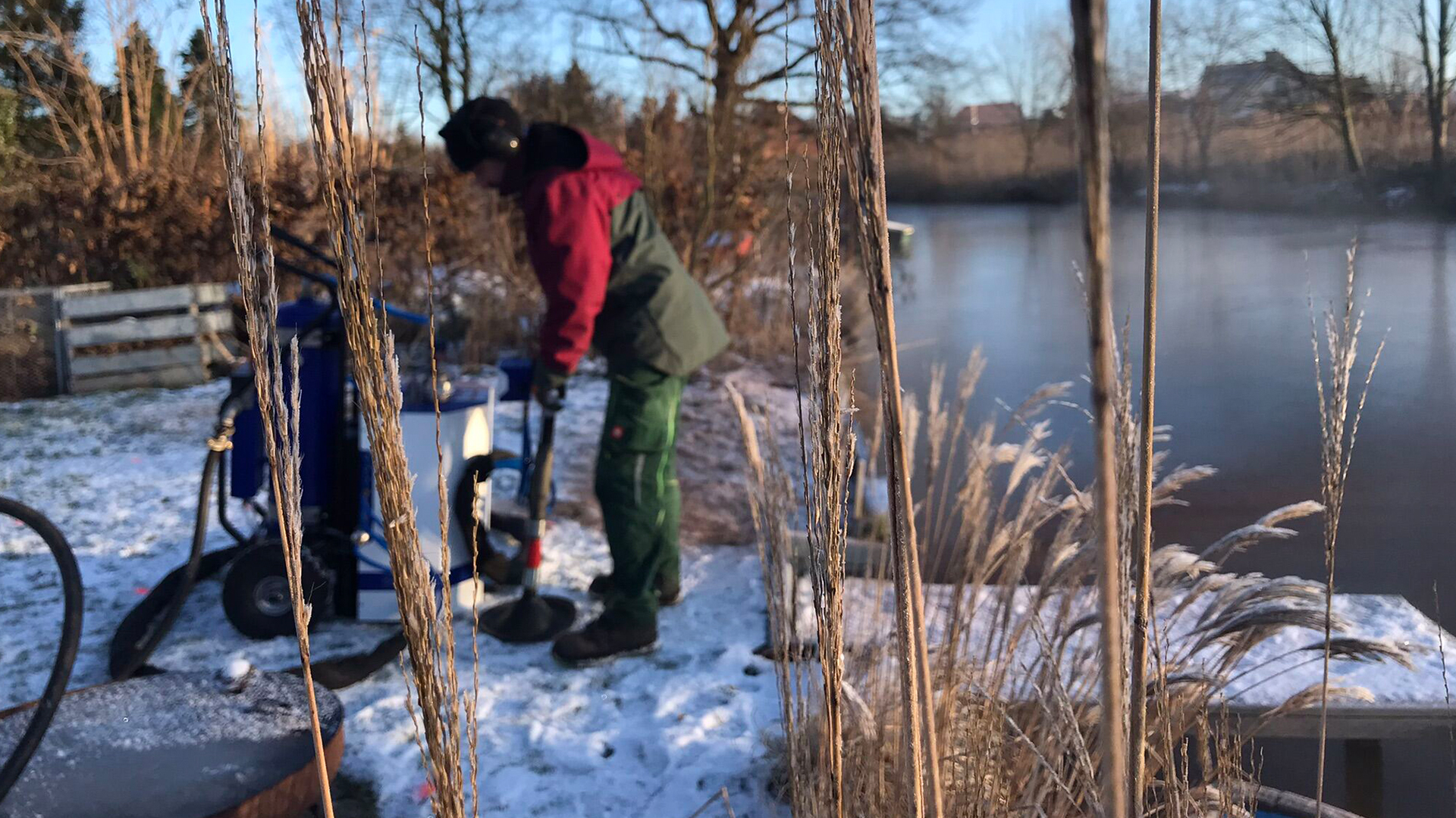 Im Kronenbereich von Bäumen kann man sogar Mykorrhiza zwischen die Wurzeln injizieren