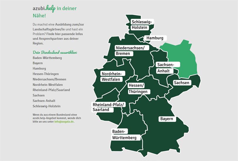 zwischen-baustelle-pflanzen-und-overthinking