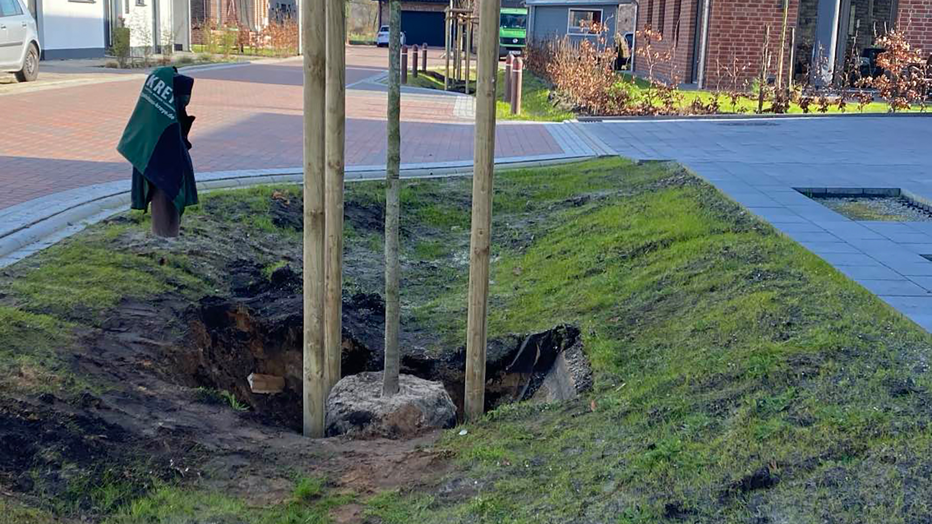 Der eingesetzte Baum wird nun mit Stämmen befästigt