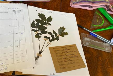 herbarium-