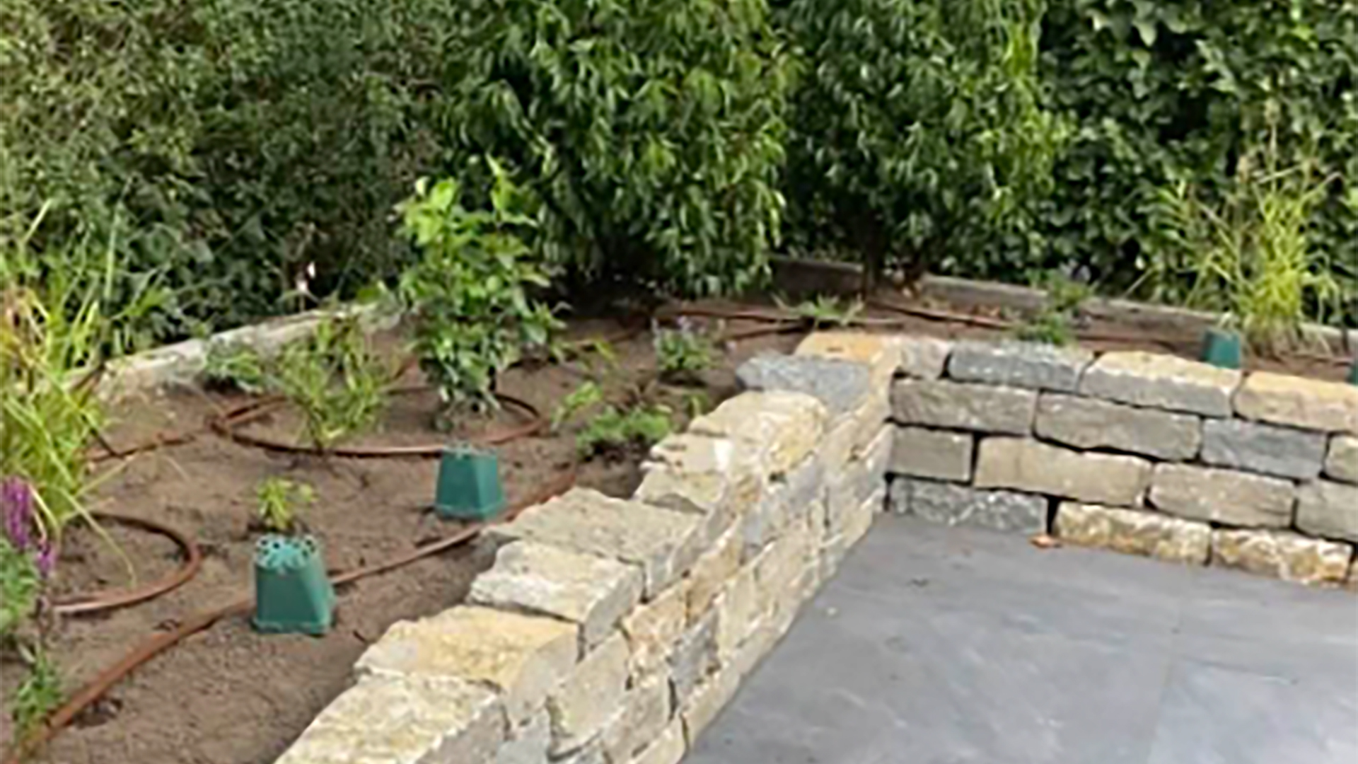 Garten bepflanzen in der Ausbildung zum oder zur Landschaftsgärtner_in