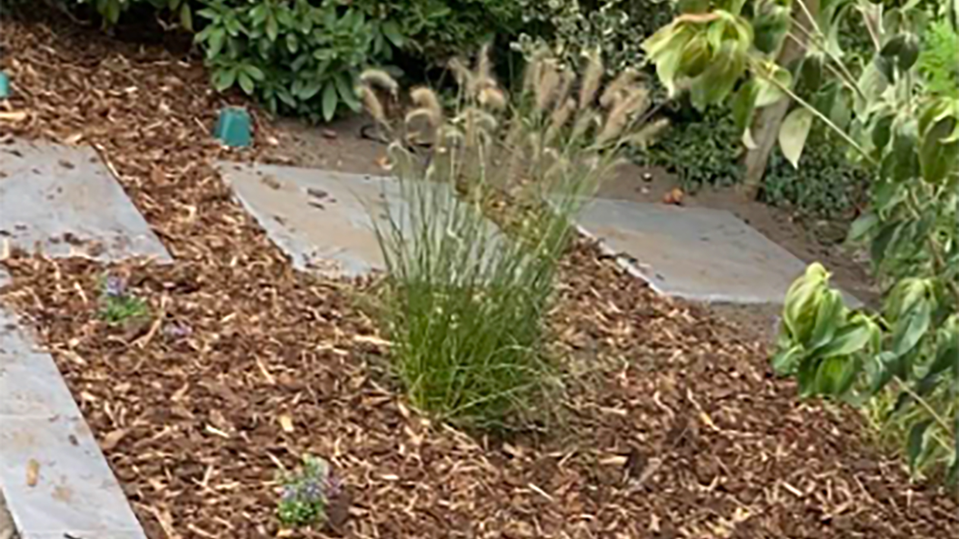 Garten bepflanzen macht Spaß