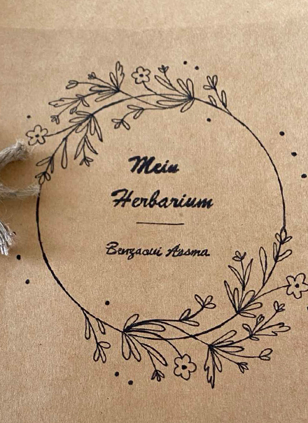Beitrag Herbarium
