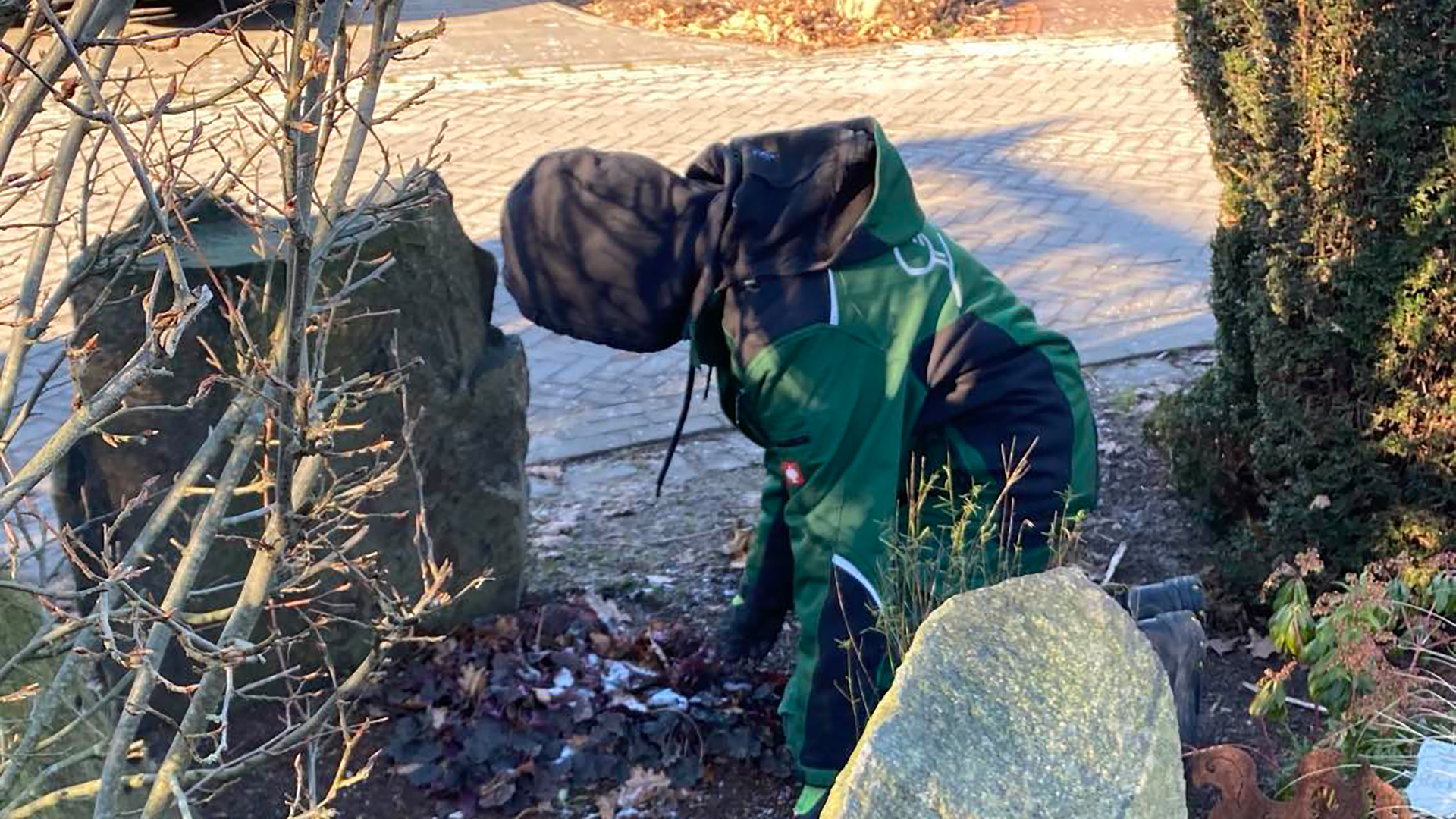 Unkraut jäten in der Ausbildung
