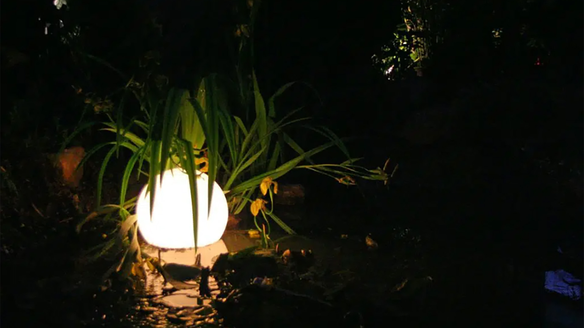 Licht im Garten