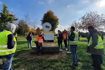 besuch-des-klimabaum-hains