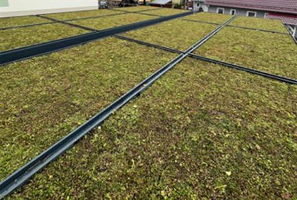 dachbegruenung-mit-mobiroof-eco-