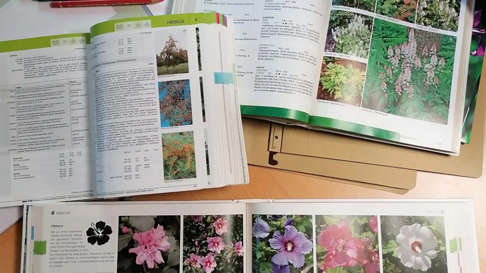 Pflanzenbücher