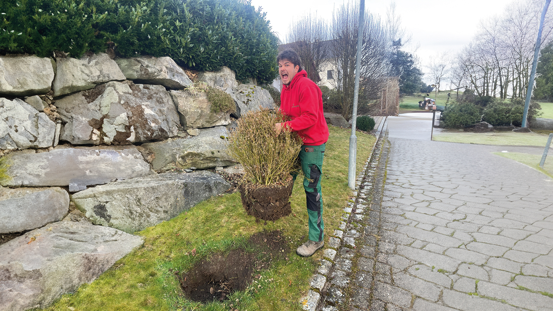 Eliah entfernt den Buchsbaum