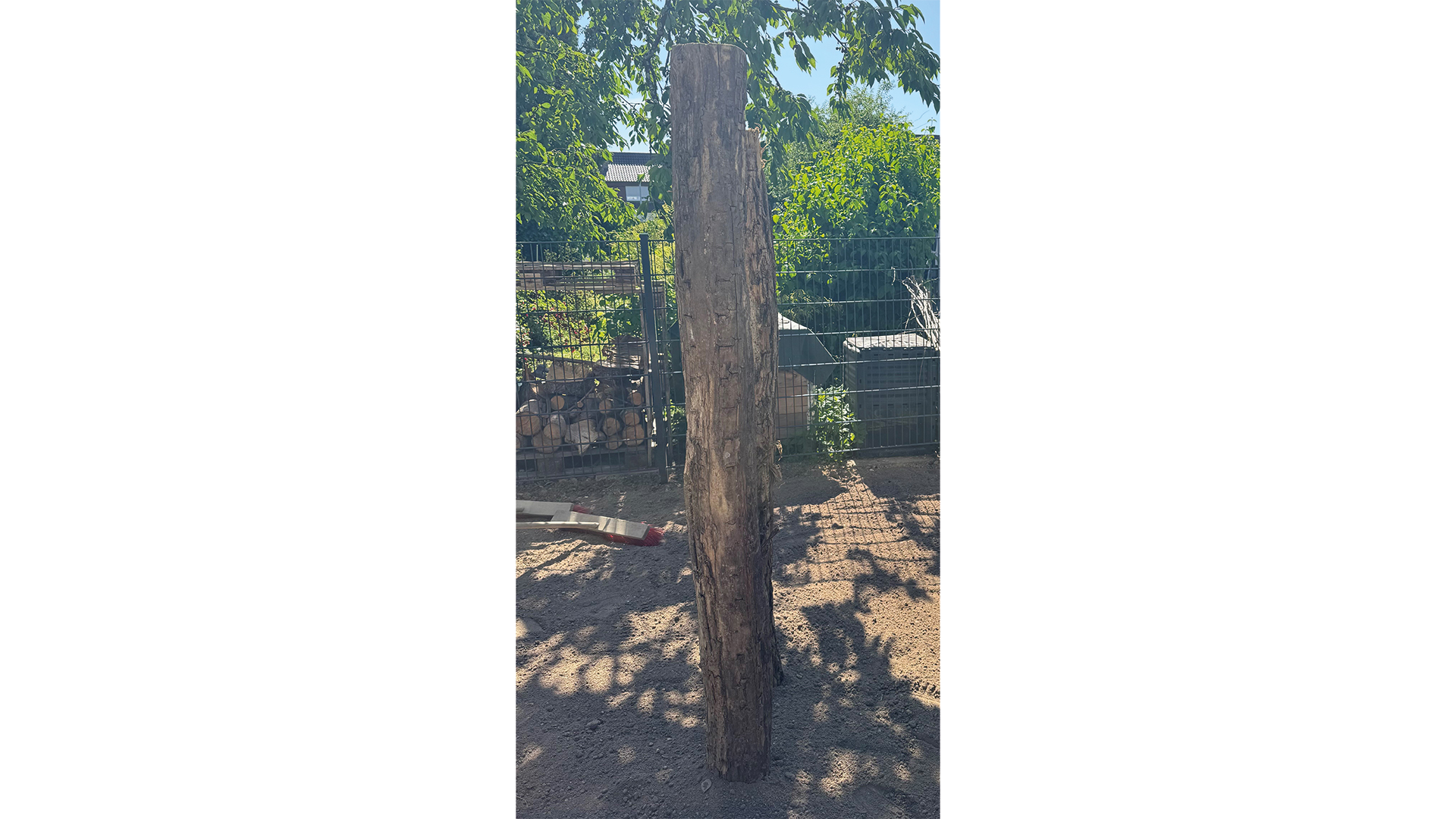 Totholz als baumstamm-fuer-wildbienen