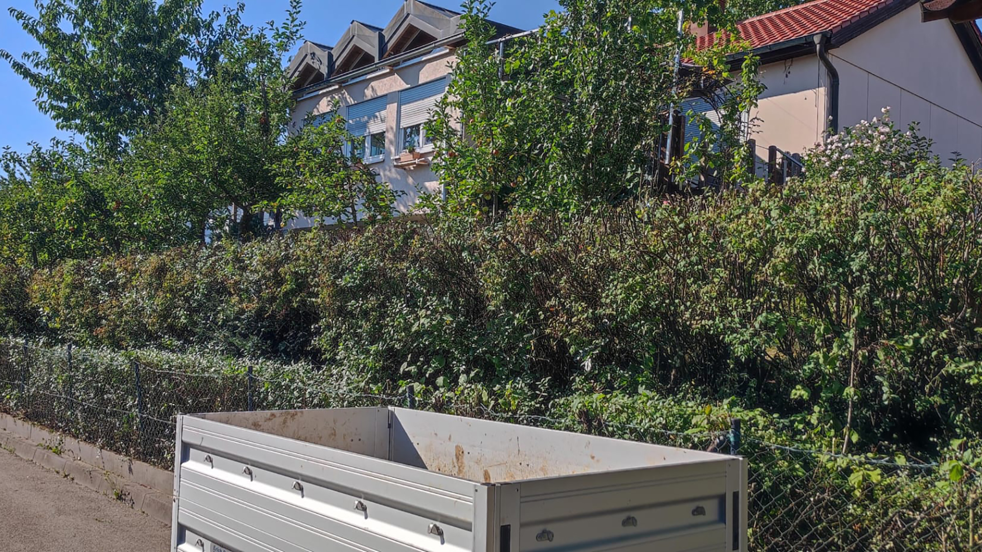 Hecke als Mauer statt aus Stein