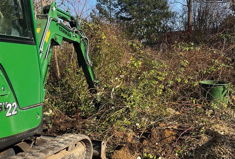 pflanzenrodung-fuer-eine-neue-baustelle