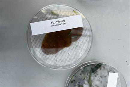 lehrgang-pflanzenschutz