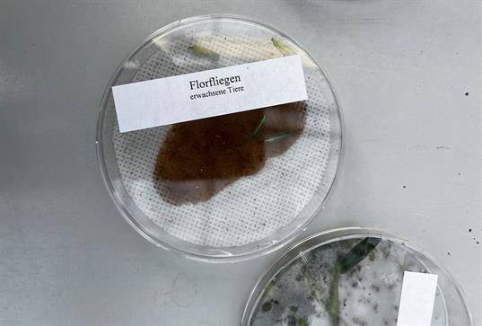 lehrgang-pflanzenschutz