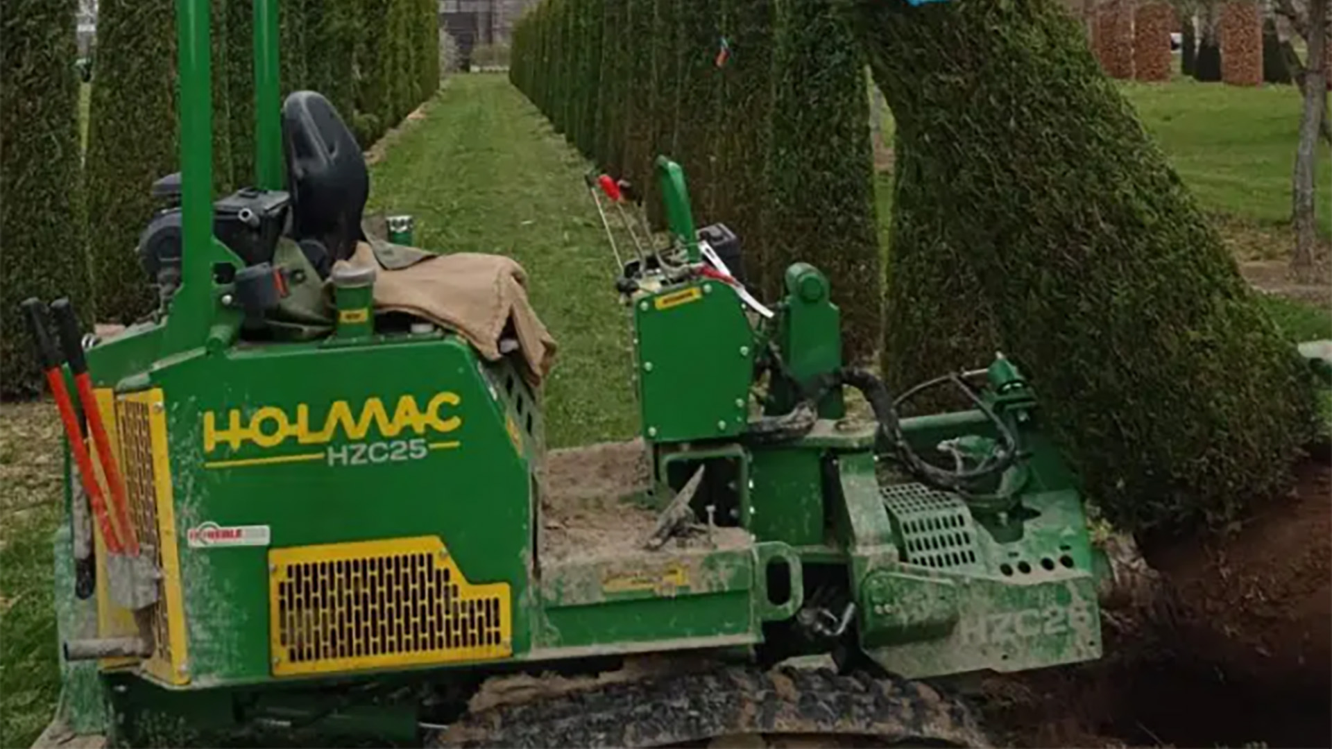 Die Pflanzen wurden draußen entsprechend sortiert und mit speziellen Hacken aus Plastik festgemacht