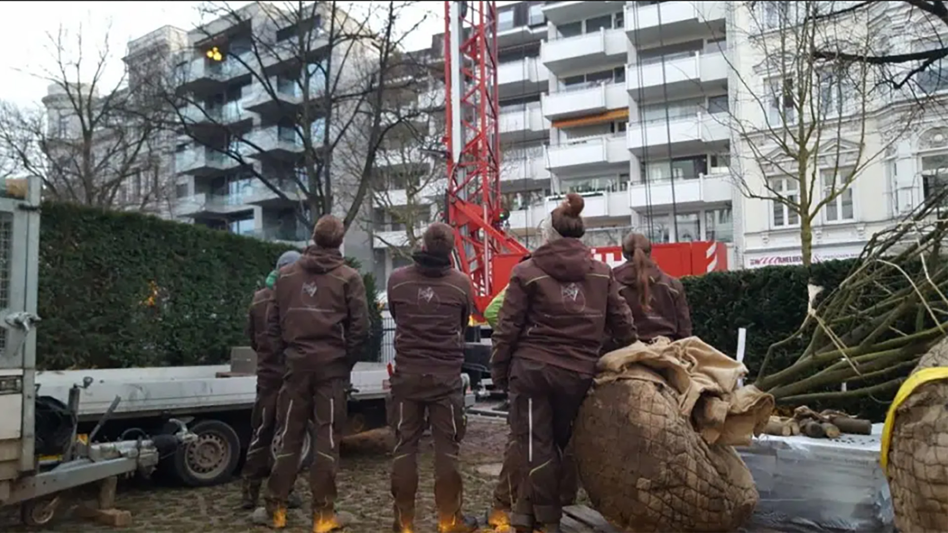 Einsetzten der Gehölze