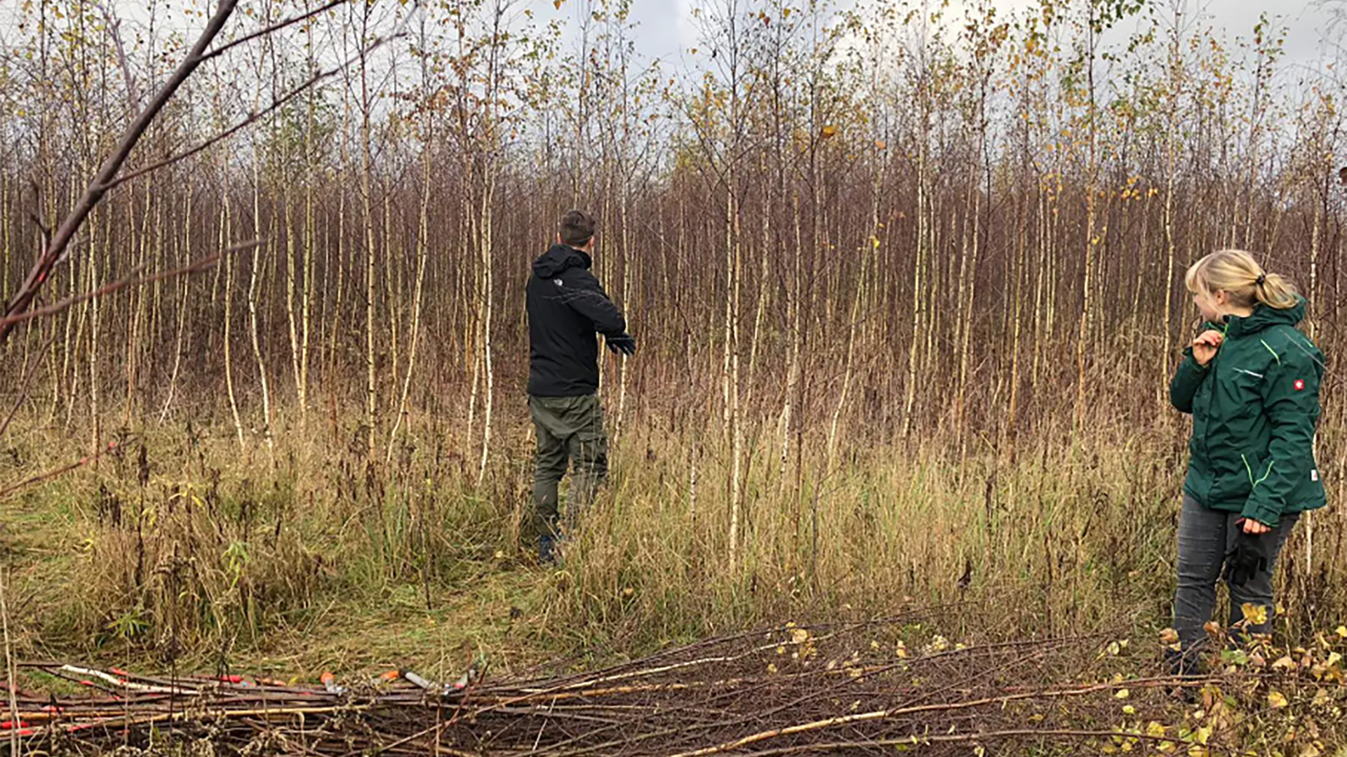 Sahra untersucht die Landschaft