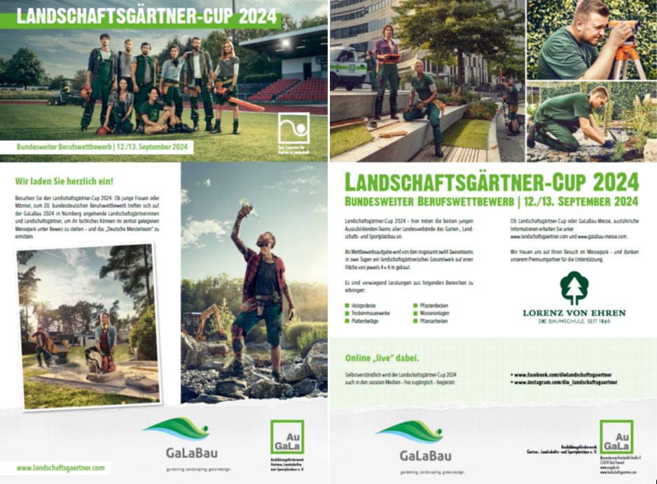 Das Faltblatt zum Wettbewerb