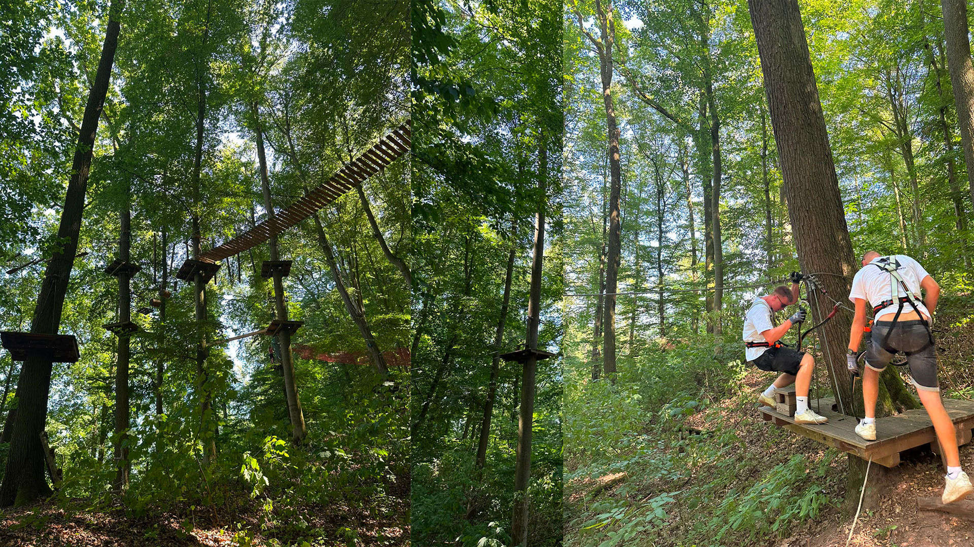 Hoch hinaus geht es in den Kletterpark