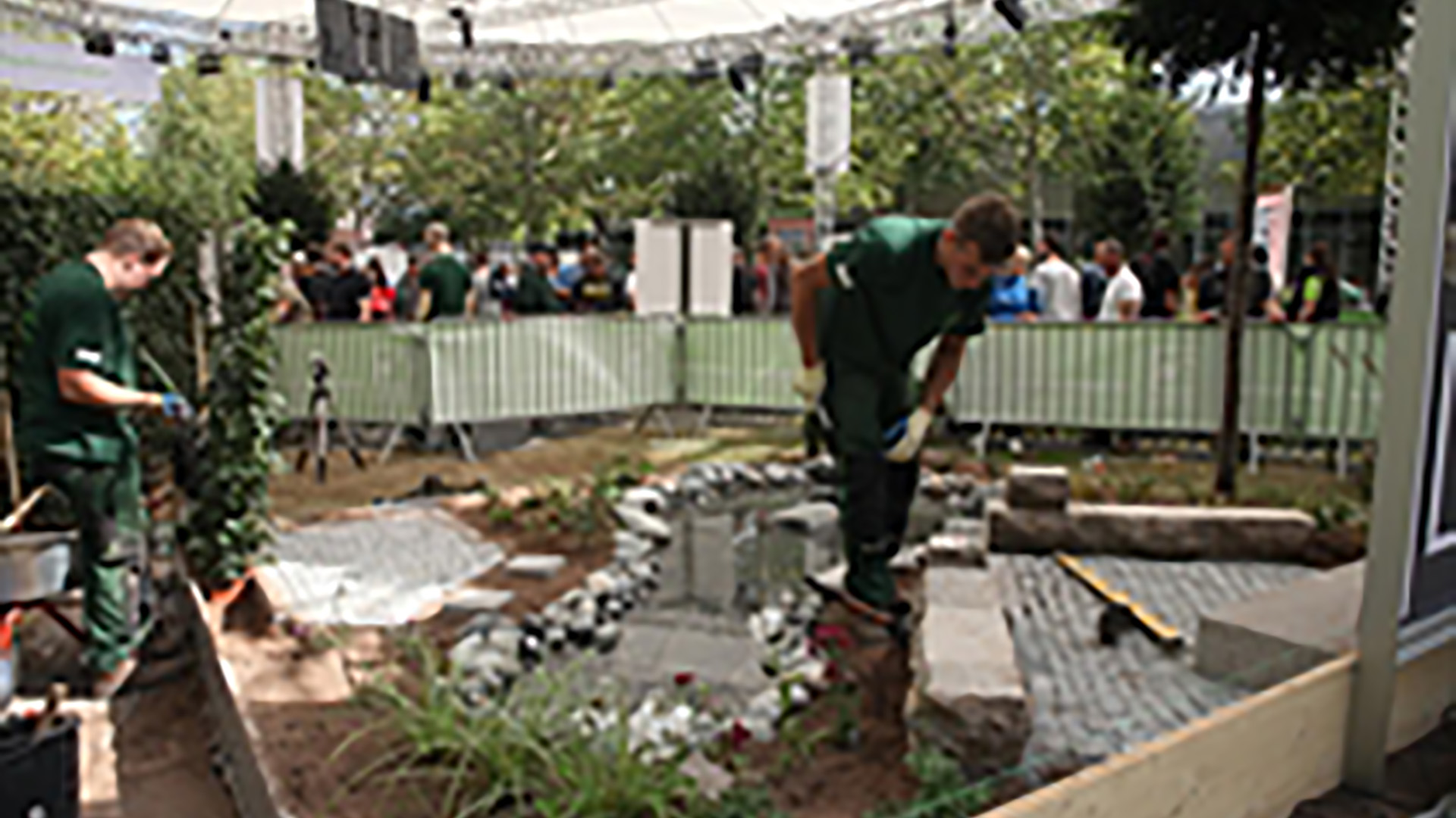 Platz 7: das Team aus Schleswig-Holstein