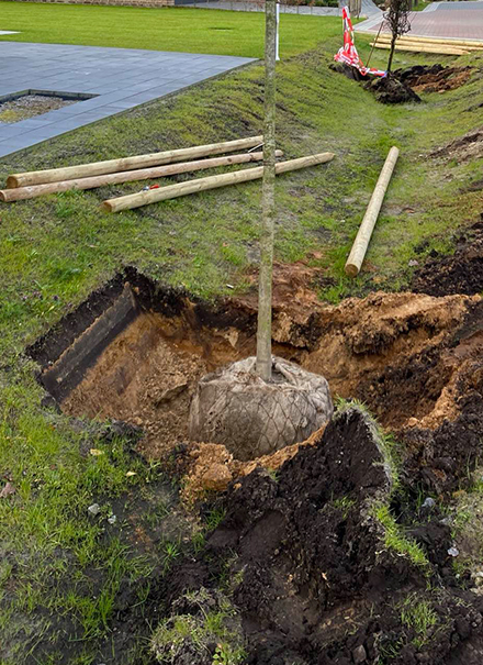 Ein Äußeres voller Vorteile