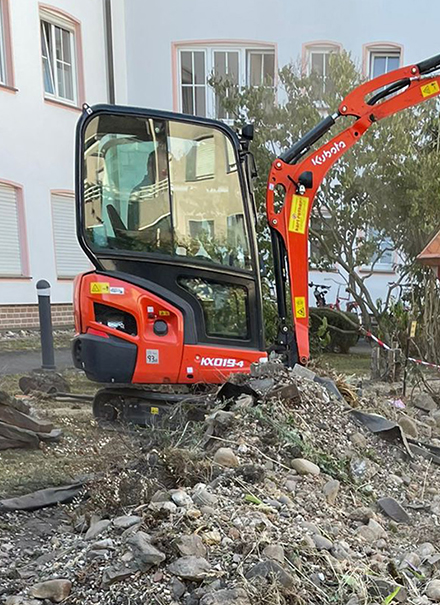 Bepflanzung eines Daches