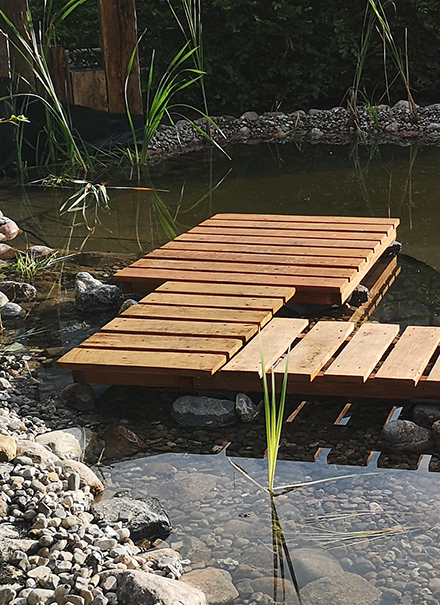 Kurs: Begrünung von Bauwerken