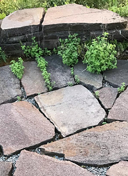 Azubi-Blog Alles Grün